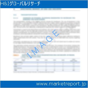 市場と産業調査レポートのイメージ